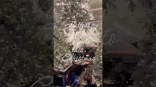 White garden| Queen&rsquo;s Harbour| Hottest spot in Toronto for Christmas