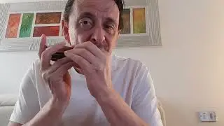 How High the Moon - Chromatic Harmonica Easttop eap12 with wooden covers by Bluexlab 