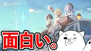 ステラソラにドハマりしてる犬。