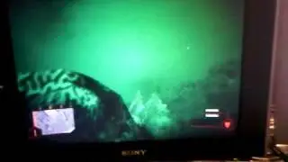 Visual artifacts in Crysis