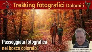 Una Passeggiata nel bosco colorato