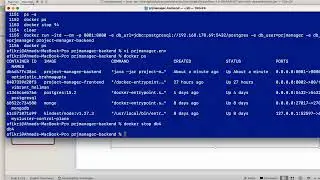 Passing Multiple Environment Variables to a Docker Container