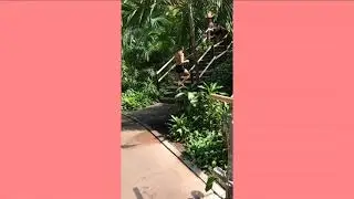 Tropical Island Berlin , тропикал айлант Берлин , апрель 2019