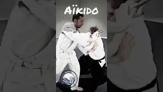Kotegaishi & Shihonage, deux techniques fondamentales de l'a&iuml;kido 🥋 #Aikido #martialarts #practice