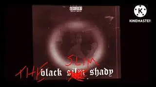 The Black Slim Shady freestyle 🔥 🔥 🔥