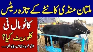 Multan Mandi Ke Taza Rates | Kantay Ka Rate Per Kg | Live Kharidari