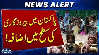 Pakistan Unemployment Rate Increases &ndash; Full Survey Revealed! | Latest News | SAMAA TV