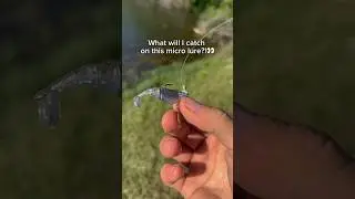 What will I catch on this MICRO underspin?!👀 #fishing #shorts