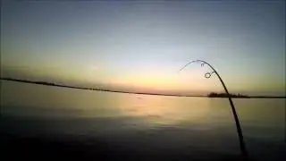 Big Jack screaming drag blowing up a topwater lure