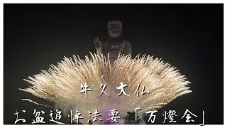 【牛久】牛久大仏花火｜お盆追悼法要「万燈会」【茨城】