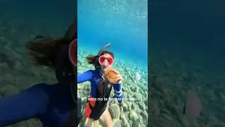 3 tipos de medusas que te puedes encontrar en la costa brava