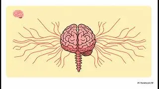 EMR Ch 6 Video  The Human Body