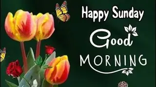 Good morning sunday flowers images  !! Good morning to all
