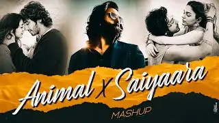 Saiyaara X Animal Mashup | Arijit Singh | FaheemAbdullah | Dhun | Romantic Songs [ LoFi, Chill ]