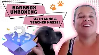 Bark Box August Pittbull Fun! Super Chewer Box