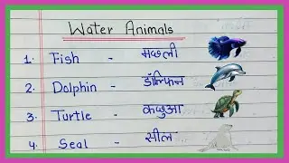 20 Water Animals Name in English and Hindi/जलीय जीवों के नाम / Water animals name/Animals Vocabulary