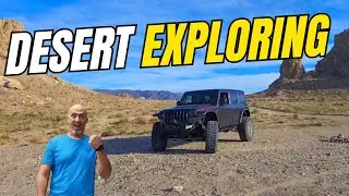 What Most People Miss in the California Desert!