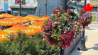【New Westminster 2024】🇨🇦 1 Minute -New Westminster Quay 5-
