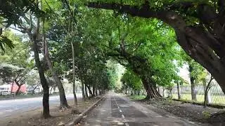 Along the green golf course towards the port area