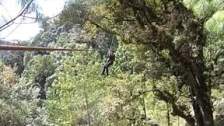 Pino Dulce rope 2