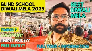 Blind School Diwali Mela 2025 | Diwali Bazaar 2025 | Blind Relief Association New Delhi | Vlog