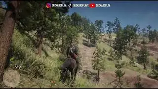 Red Dead Redemption 2 SINGLEPLAYER - Ubicacion (ARABE ATIGRADO IRREGULAR)