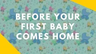 Preparing Your Dog Before Your First Baby Arrives