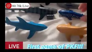 Crazy shark movie: JR and his friends create the  PKF!