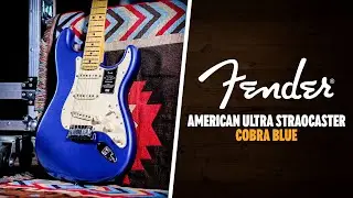 Peach Picks | Fender American Ultra Stratocaster | Maple - Cobra Blue