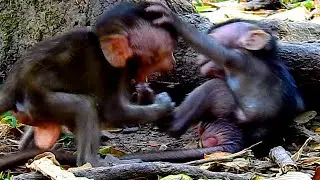 Help Me Mummy! The Tiny Babies Loved Playing