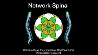 Network Spinal - The Junction Between Healthcare and Personal Development