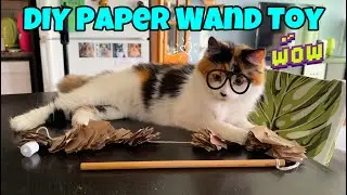 How To Make A DIY Paper Wand Cat Toy