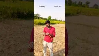 struggle #farming #agriculture #villagevlog