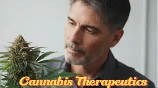All Cannabis Use Is Medical: Here's Why