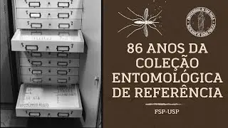 86 anos da Coleção Entomológica de Referência da FSP-USP