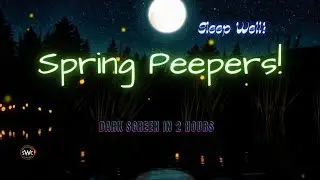Spring Peepers in the Night – Relaxing Frog Chorus for Deep Sleep & Calm Mind