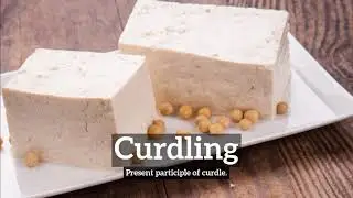How to Say Curdling in English? | What is Curdling? | How Does Curdling Look?