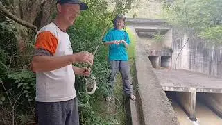 Pescaria de mandi na corredeira