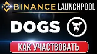 Launchpool проекта DOGS на бирже Binance | Как участвовать в Launchpool DOGS на Binance