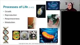Chapter 3 [Part 1/2] - Cell Structure and Function