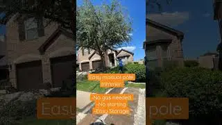 Tree trimming live oak with pole saw #shorts #landscaper #treetrimming #polesaw #fyp