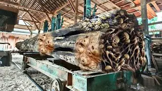 Penemuan mengejutkan kayu busuk berusia 30 tahun, Lihat apa yang di temukan pria ini.