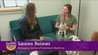 Furry Friends: Countryside Pet Clinic & Resort