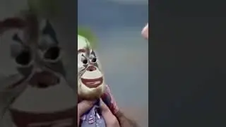 monkey need rights
