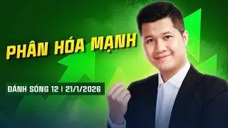 ĐÁNH SÓNG SỐ 12/2026: CHỈNH PHÂN HÓA | Anh Lương Vịt