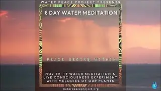 NOV 14 Day 3 of 8 Day Water Meditation & Consciousness Experiment Featuring Plant Music