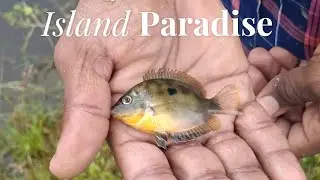 ஏரி மீன் பிடிக்கலாம் வாங்க 🎣 | Real Fishing Experience@Entertainmentpuff 