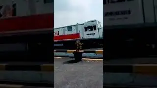 Momen Kereta bersilangan di stasiun bangoduwa #shorts #edansepur #railfans #cirebon