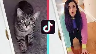 RECREATING TIK TOK VIDEOS 5