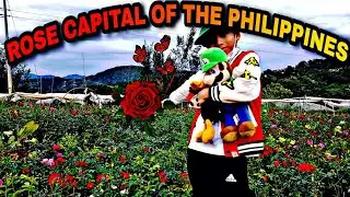 A GLIMPSE OF THE ROSE CAPITAL OF THE PHILIPPINES.. BAHONG, LA TRINIDAD, BENGUET